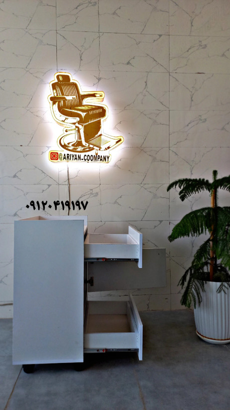ترولی فشیال