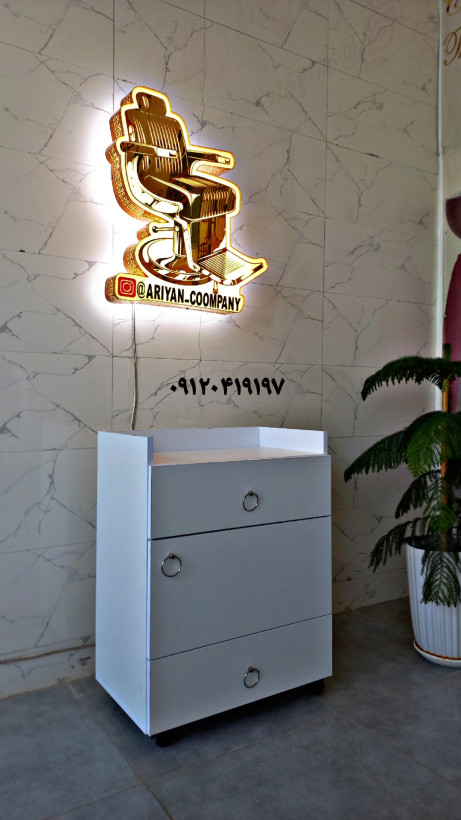 ترولی فشیال