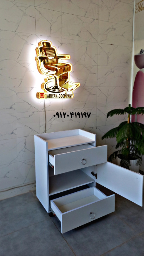 ترولی فشیال