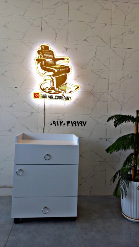 ترولی فشیال
